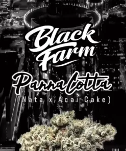 The Rare Panna Cotta Strain