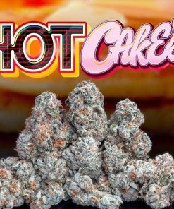 Jungle Boys Hot Cakes