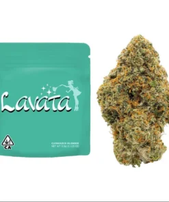 The Rare Lavata Strain