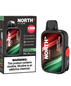 North Vape FT12000 Strawberry Watermelon Kiwi
