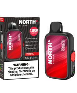 North Vape FT12000 Strawberry Watermelon