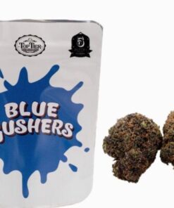 Blue Gushers Strain | Backpackboyz