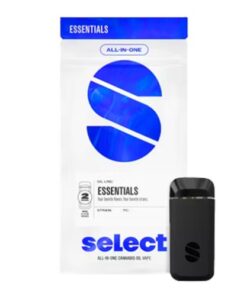 Buy Northern Lights Briq Disposable Pen