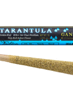 Ganja Gold/Blue Tarantula