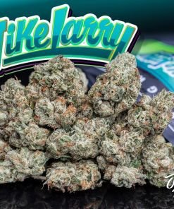 Jungle Boys Mike Larry