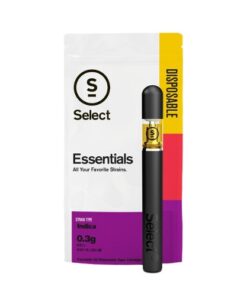Buy Gelato Disposable Pen