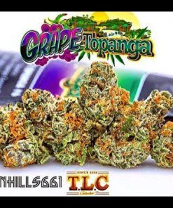 Jungle Boys Grape Topanga