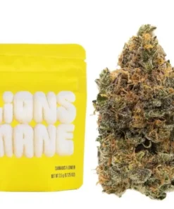 Lions Mane Strain | Cookies