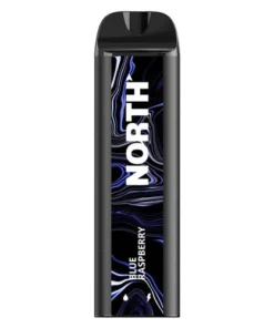 North Vape 5000 Blue Raspberry