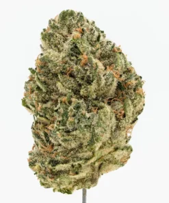 E85 Strain