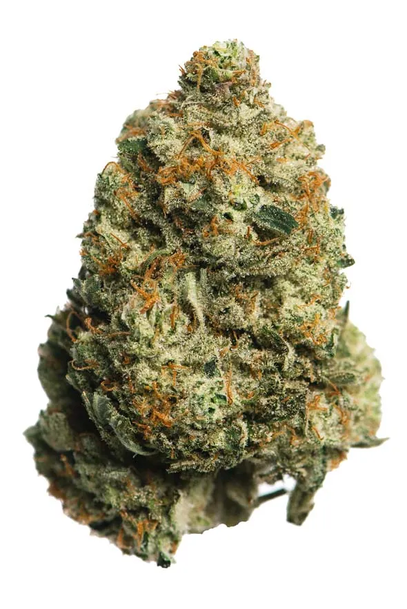 horchata-02__proper-1920w.webp