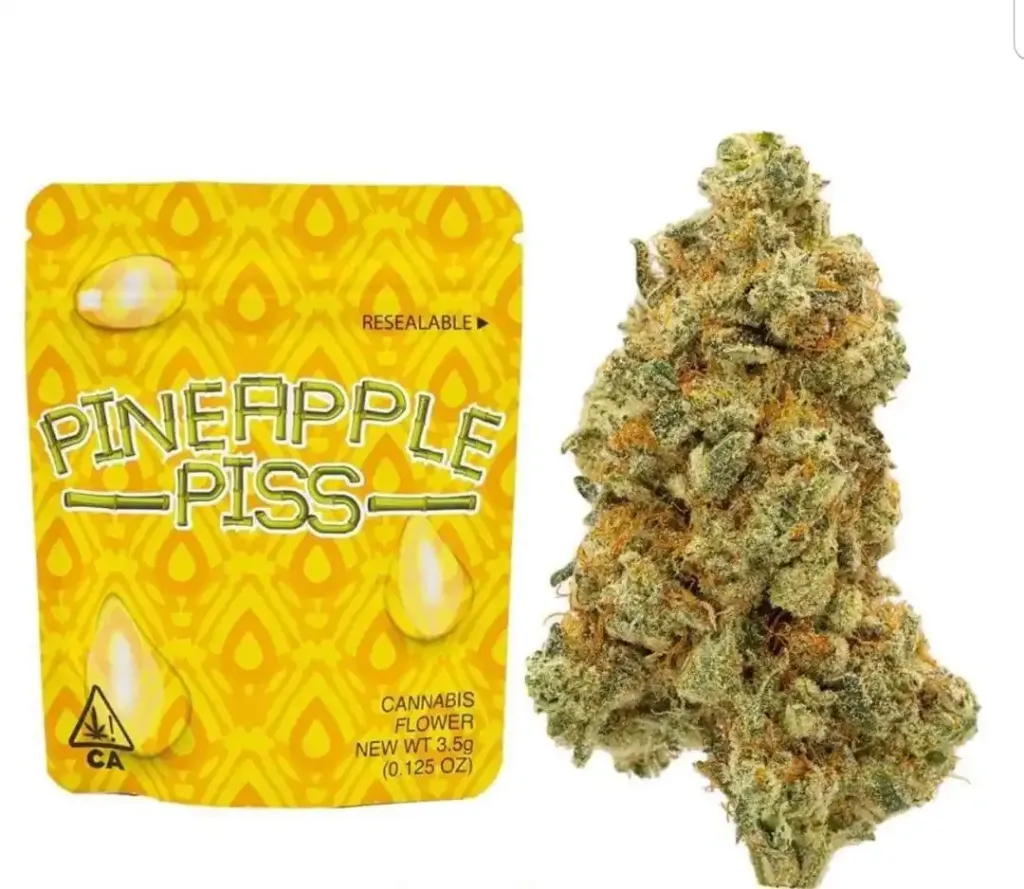 pineapple-piss-1.webp